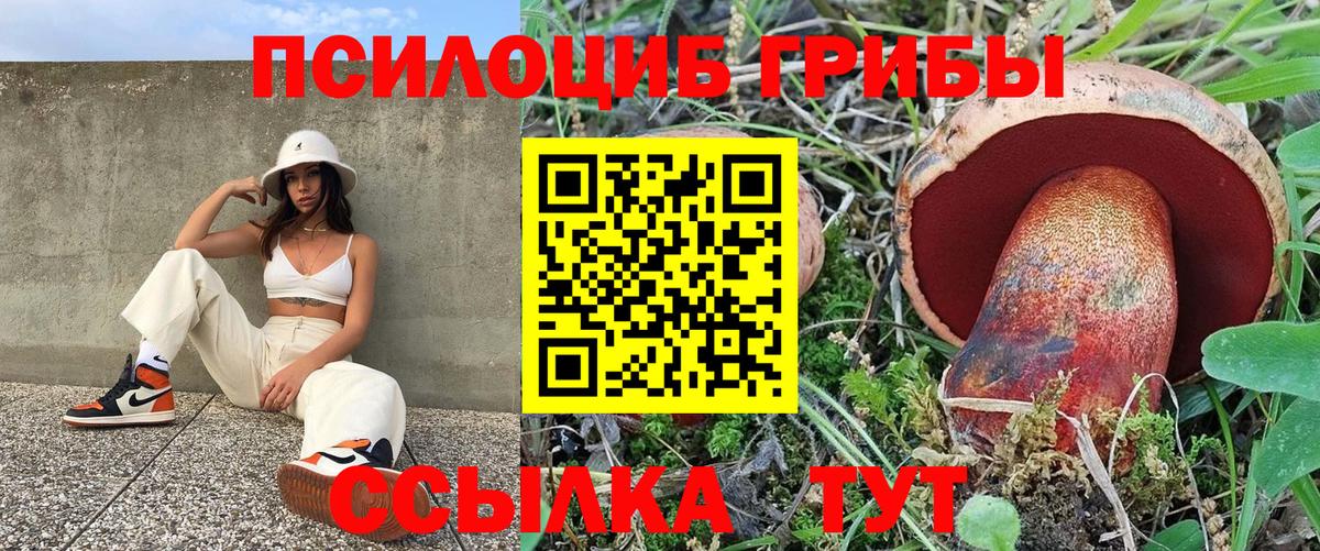 Галлюциногенные грибы прущие грибы Керчь