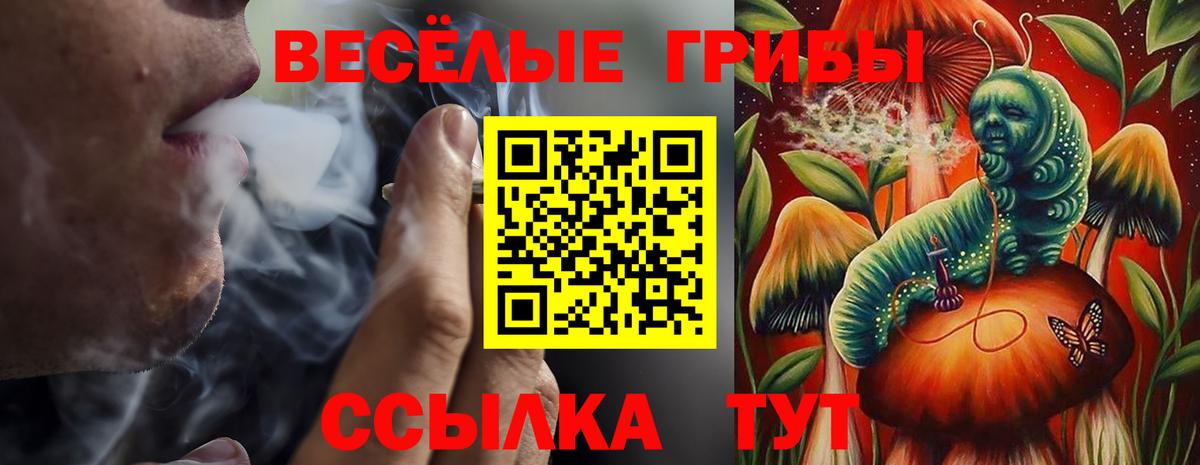 Псилоцибиновые грибы ЛСД  Вход с VPN  Керчь 